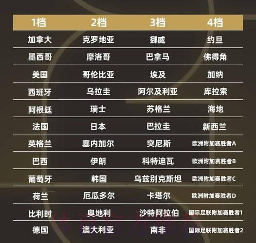 世界杯强队排名实时